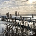 Seeluster Bucht - Spaziergang & Badespaß am Plauer Seeufer